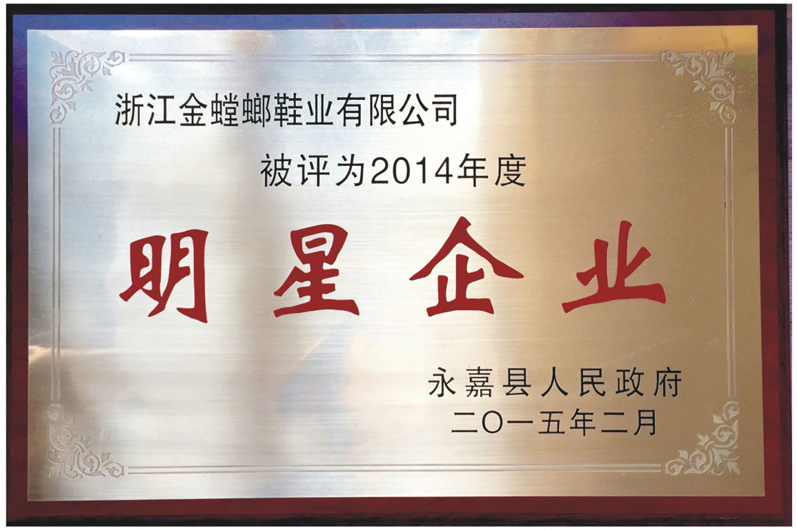 2014年度明星企業(yè)